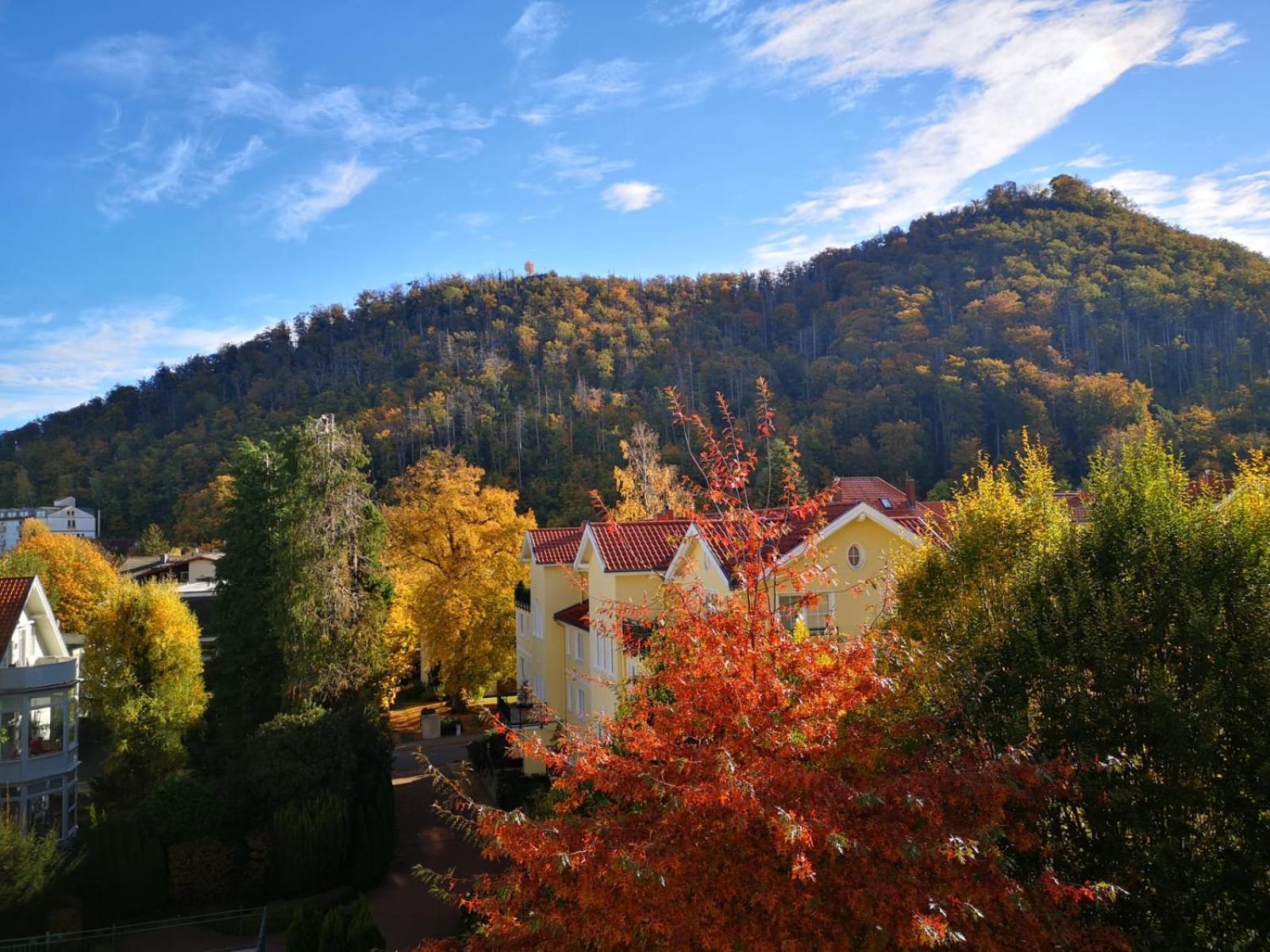 Bergliebe Apartment Bad Harzburg Exterior photo